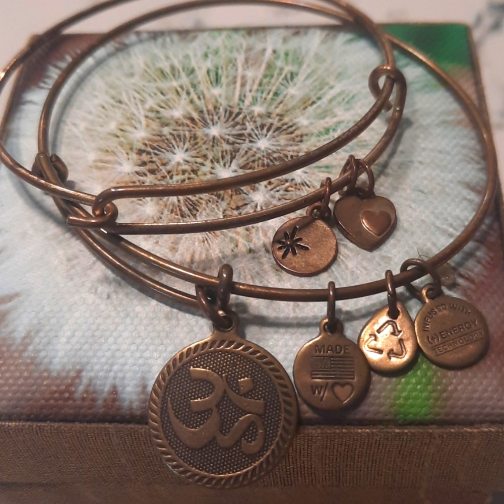 Alex & Ani Set "Energy" ❤️